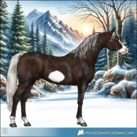 Horse Color:Midnight Silver Bay Ice Frame 