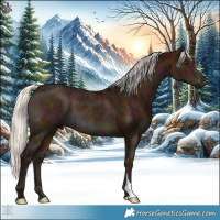 Horse Color:Midnight Silver Bay Ice