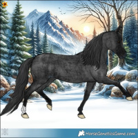 Horse Color:Blue Ice Roan 