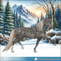 Horse Color:Perlino Ice 