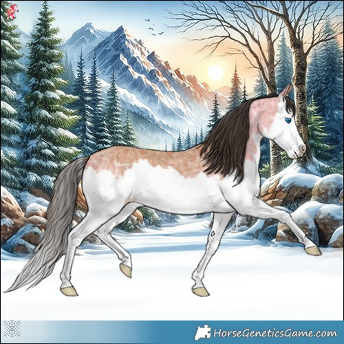 Horse Color:Bay Ice Splash 