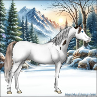 Horse Color:Chestnut Ice Splash Tobiano Appaloosa 