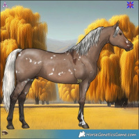Horse Color:White Spotted Liver Red Dun Mushroom