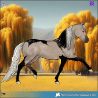 Horse Color:Void Liver Red Dun Mushroom Tobiano 