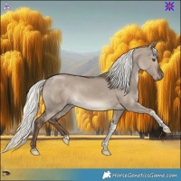 Horse Color:Liver Red Dun Mushroom Tobiano 