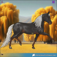 Horse Color:Liver Chestnut Mushroom Rabicano