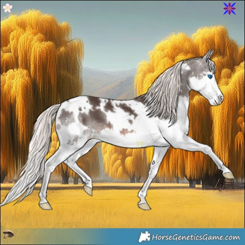 Horse Color:White Spotted Liver Chestnut Mushroom Splash 