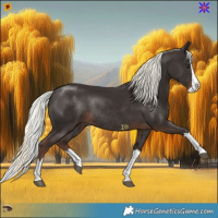 Horse Color:Liver Chestnut Mushroom Splash Rabicano 