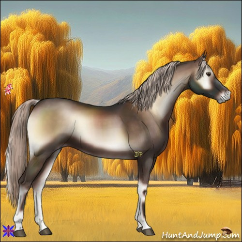 Horse Color:Liver Red Onyx Mushroom