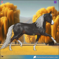 Horse Color:Liver Chestnut Mushroom 
