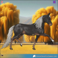 Horse Color:Liver Chestnut Mushroom 