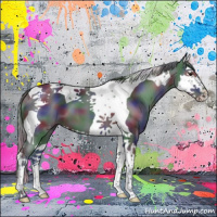 Horse Color:Nacre Black Chinchilla Splash Tobiano