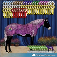 Horse Color:Watercolor Silver Brown Ice Sabino Splash 