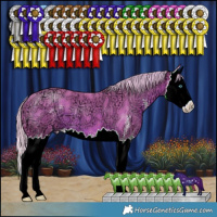 Horse Color:Watercolor Silver Brown Ice Sabino Splash 