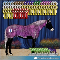 Horse Color:Watercolor Silver Brown Ice Sabino Splash 