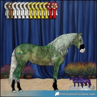 Horse Color:Watercolor Silver Brown Ice Sabino 