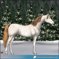 Horse Color:Red Dun Pearl Sabino 