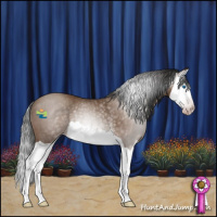 Horse Color:Gray Classic Champagne Splash Rabicano 