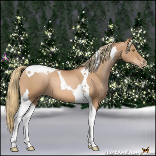 Horse Color:Chestnut Pearl Tobiano