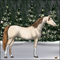 Horse Color:White Spotted Bay Pearl Dun 