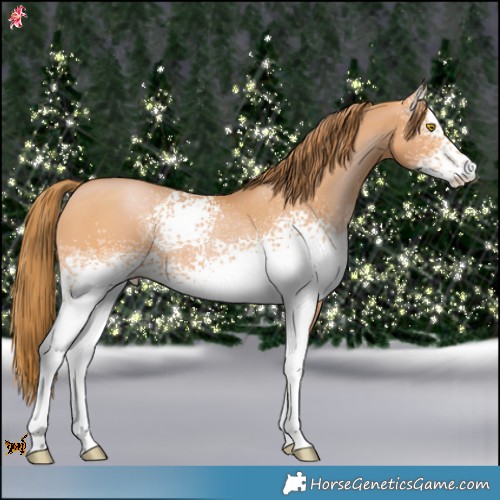 Horse Color:White Spotted Bay Pearl 