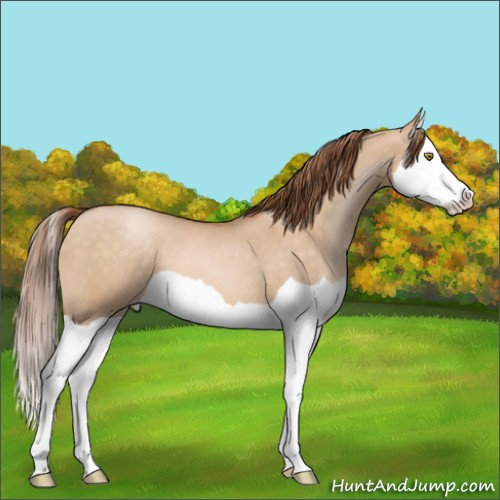 Horse Color:Brown Pearl Dun Splash 