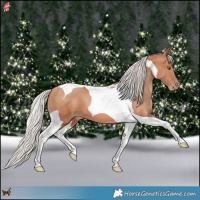 Horse Color:Silver Bay Pearl Tobiano