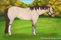 Horse Color:Chocolate Bay Roan Dun
