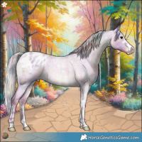 Horse Color:Nacre Watercolor Silver Blue Roan Sabino Appaloosa 