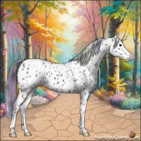 Horse Color:Nacre Black Appaloosa