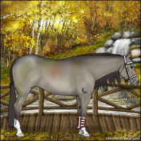 Horse Color:Smoky Grullo 