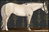 Horse Color:Chocolate Palomino Pearl Dun Rabicano