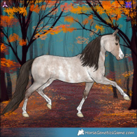 Horse Color:Liver Red Dun Roan Sabino 
