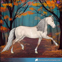 Horse Color:Silver Amber Champagne Dun Sabino 