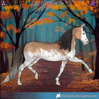 Horse Color:White Spotted Bay Dun Splash 
