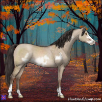 Horse Color:Sable Champagne Dun Frame 