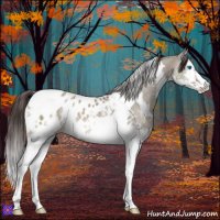 Horse Color:White Spotted Brown Dun Splash Tobiano Appaloosa 