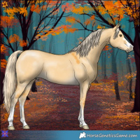 Horse Color:Palomino Dun 