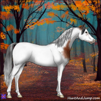 Horse Color:Brown Splash Tobiano Frame 
