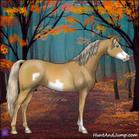 Horse Color:Palomino Frame 