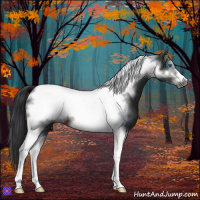 Horse Color:Brown Tobiano Frame 