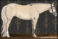 Horse Color:Cremello 