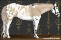 Horse Color:Chocolate Palomino Pearl Splash Appaloosa