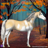 Horse Color:Silver Buckskin Roan Splash 