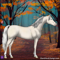 Horse Color:Silver Perlino Roan 