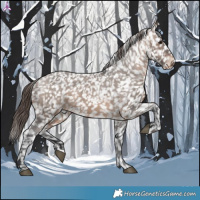 Horse Color:Brown Dun Snowflake Varnish