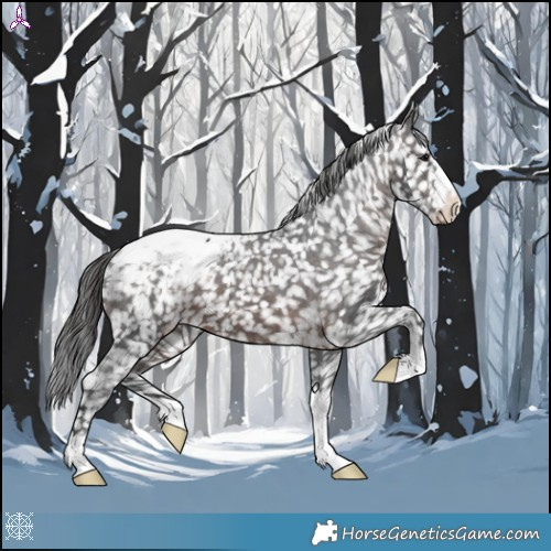 Horse Color:Brown Appaloosa 