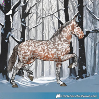 Horse Color:Bay Snowflake Varnish