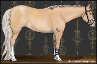 Horse Color:Silver Amber Champagne