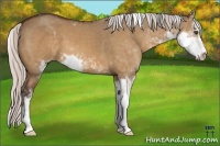Horse Color:Silver Bay Dun Sabino